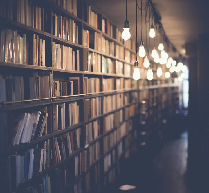 Library filled with books