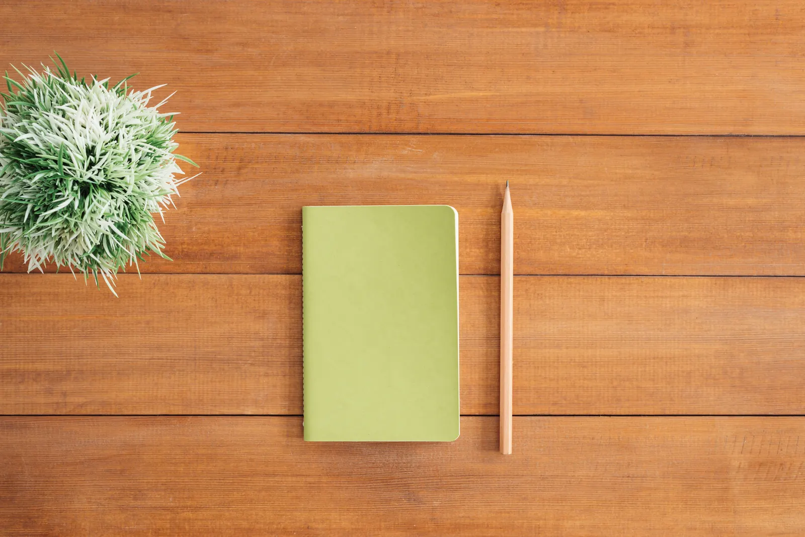 A plain green notebook and a sharpened pencil laid side by side on a warm wooden plank table beside a small plant