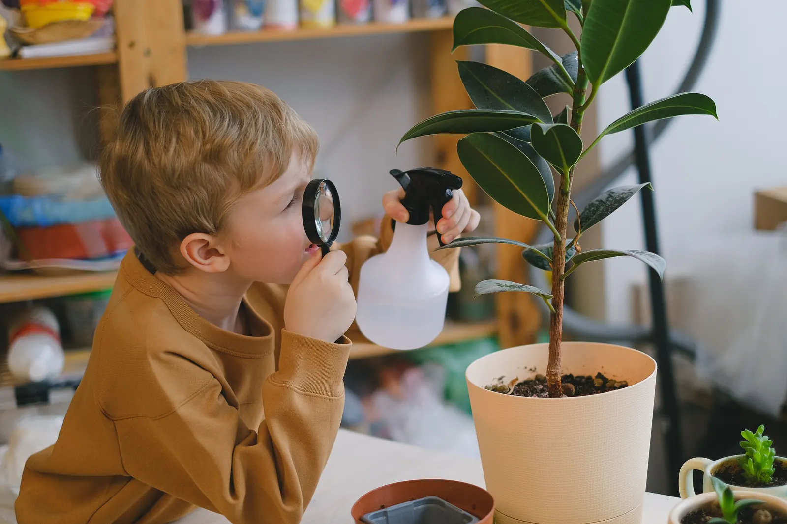A boy peers through a magnifying glass at a potted plant, a spray bottle in his other hand