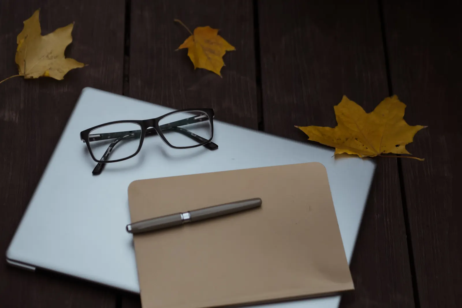 Yellow autumn leaves on a dark wooden desk around a kraft folder, a pen and reading glasses