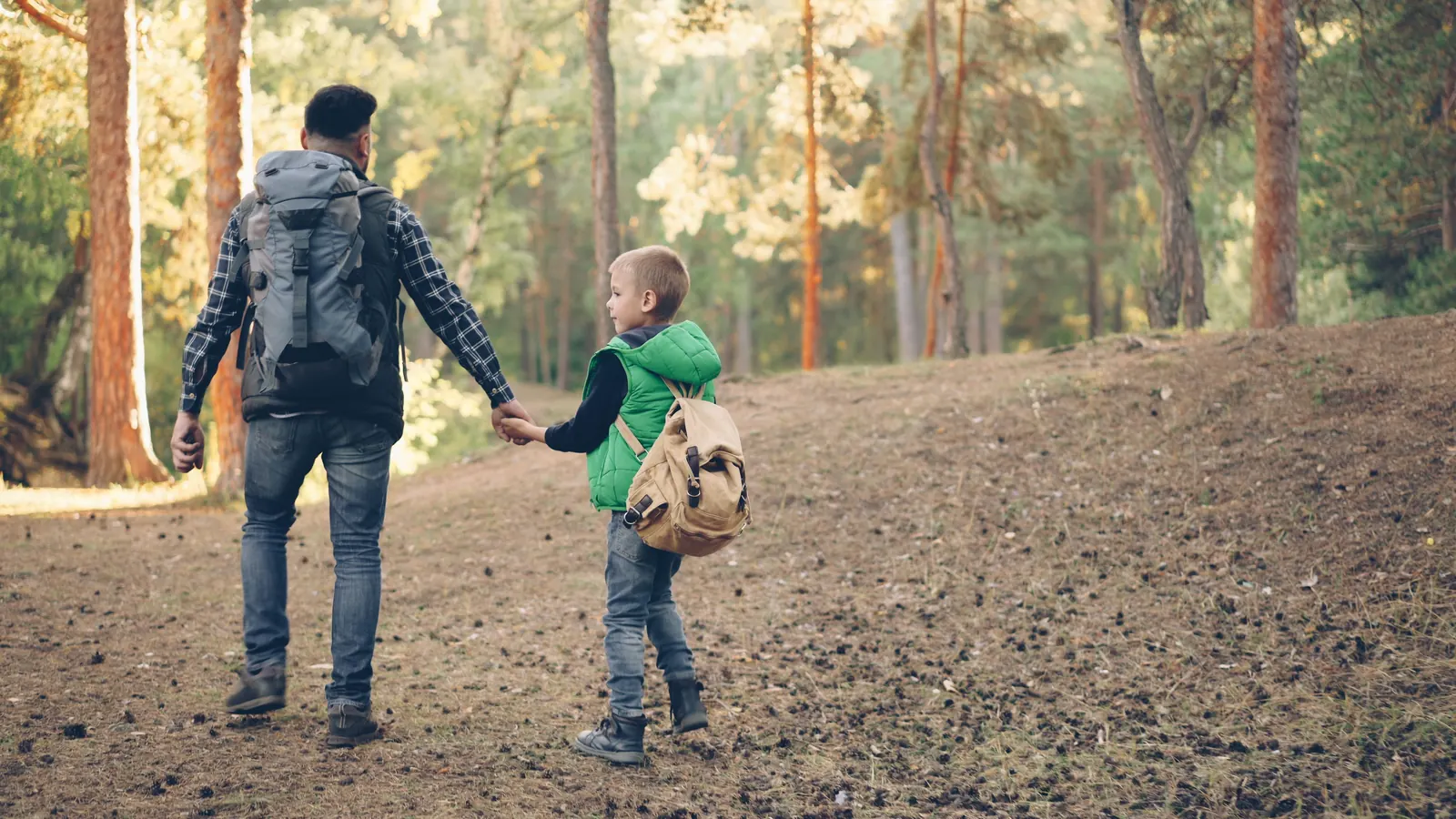 A father and his young son walk hand in hand with backpacks along a sunlit path through pines