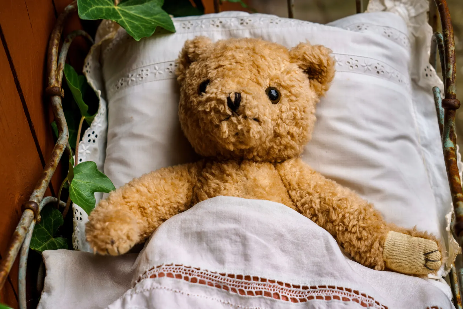 A worn teddy bear tucked into a little bed with lace pillow and linen sheet
