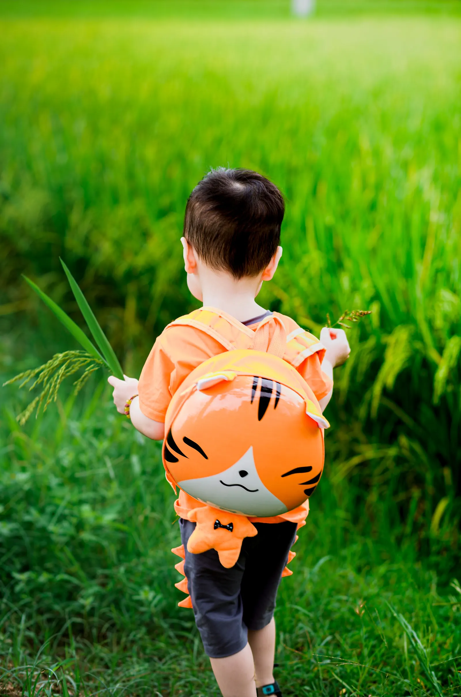 A toddler boy seen from behind walks through tall grass wearing a tiger backpack