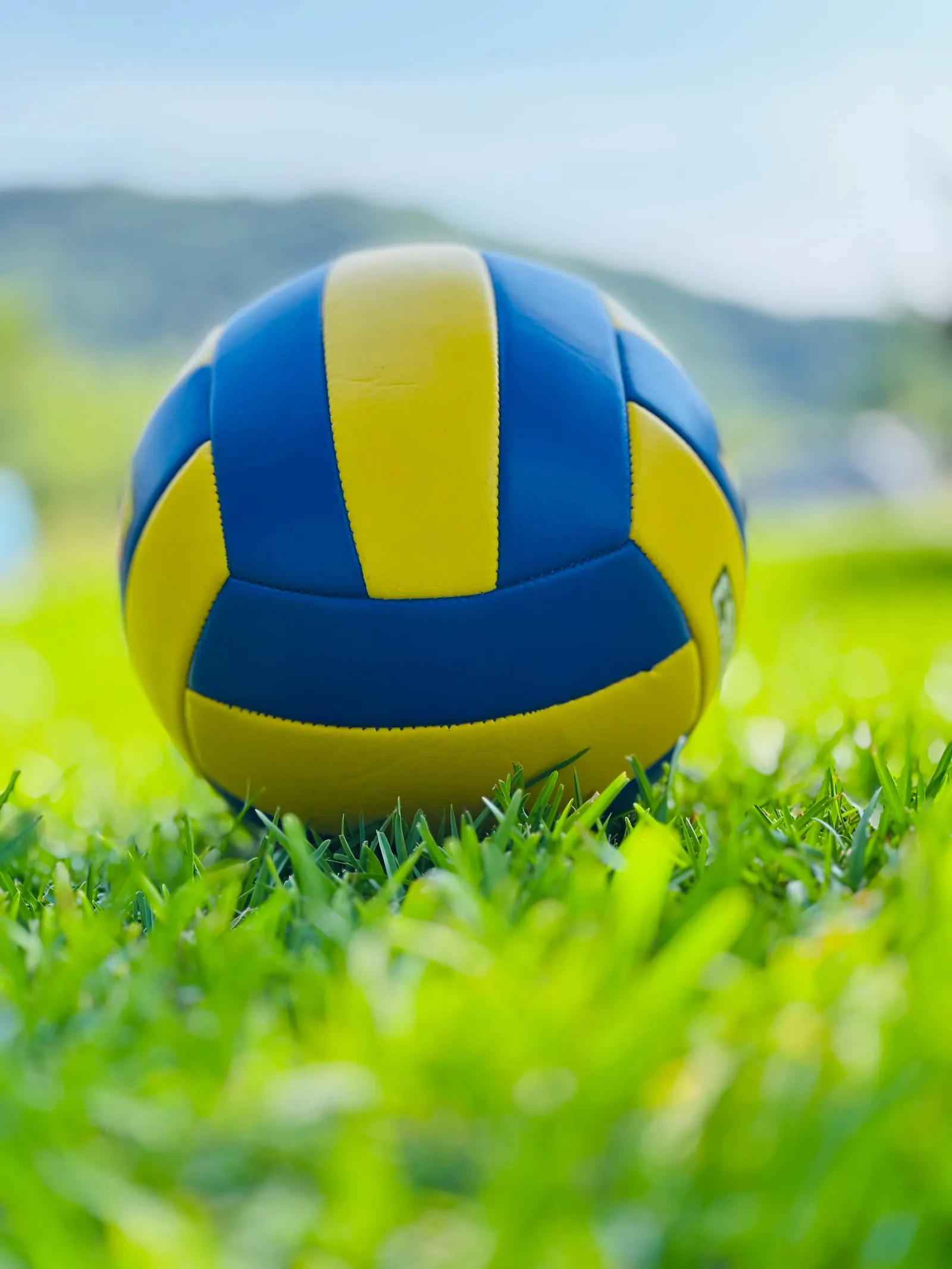 A blue and yellow volleyball resting on bright green grass under a pale sky