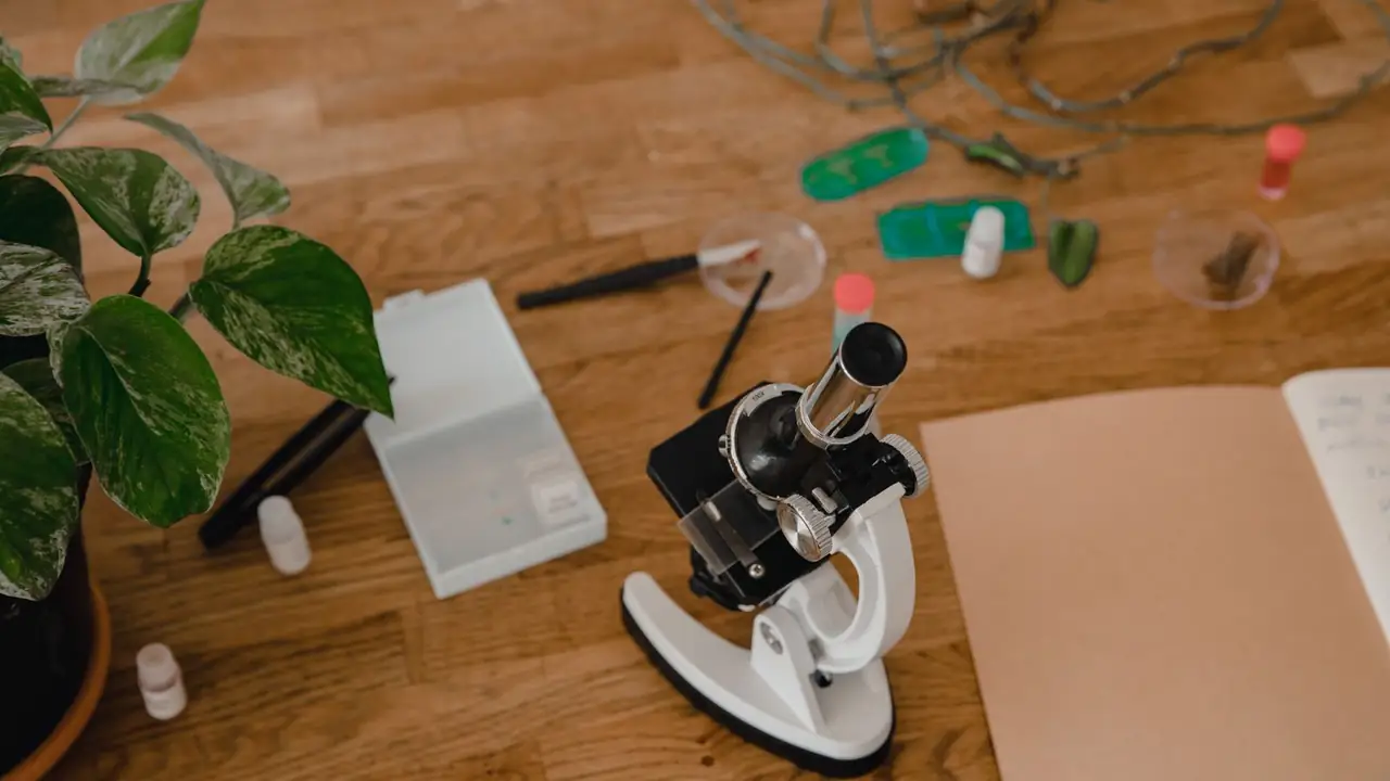 A warm oak worktop seen from above with a student microscope, prepared slides, specimen dishes and an open field notebook.