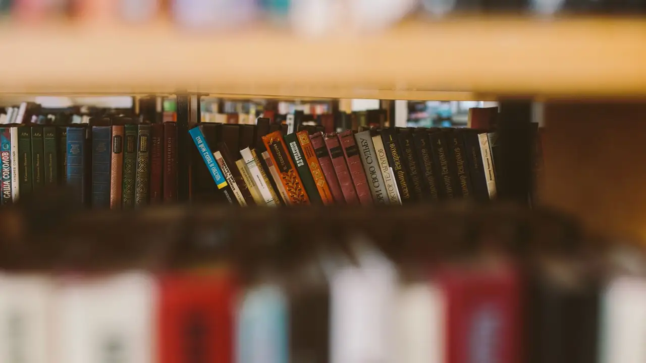 Cloth-bound book spines on a library shelf, one sharp band of them running across a soft amber blur above and below.
