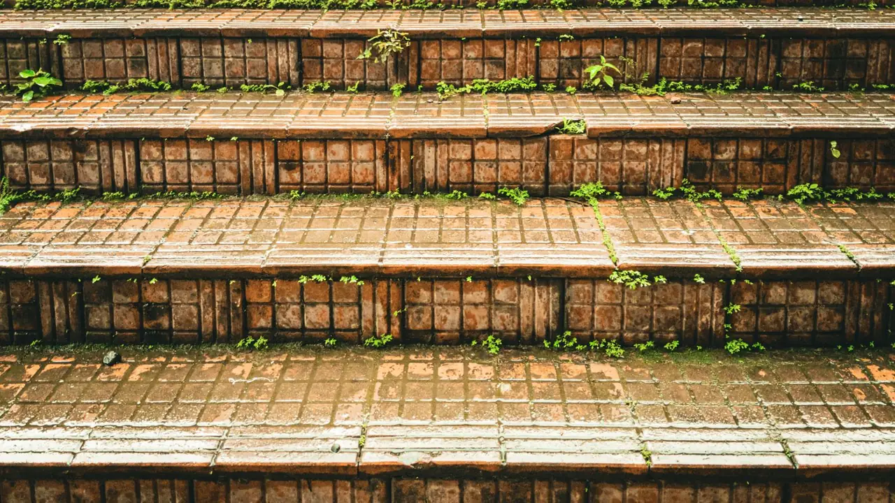 Worn terracotta brick steps filling the frame, with moss and small seedlings growing in the joints.