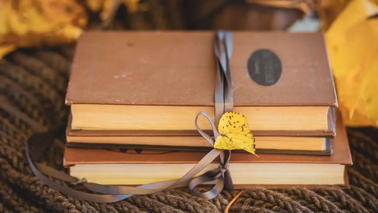 Three cloth-bound antique books belted together with grosgrain ribbon, a yellow birch leaf tucked into the bow.